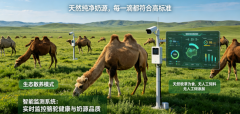 <b>此中赛天山驼奶粉正在全财产链结构、质量管控</b>